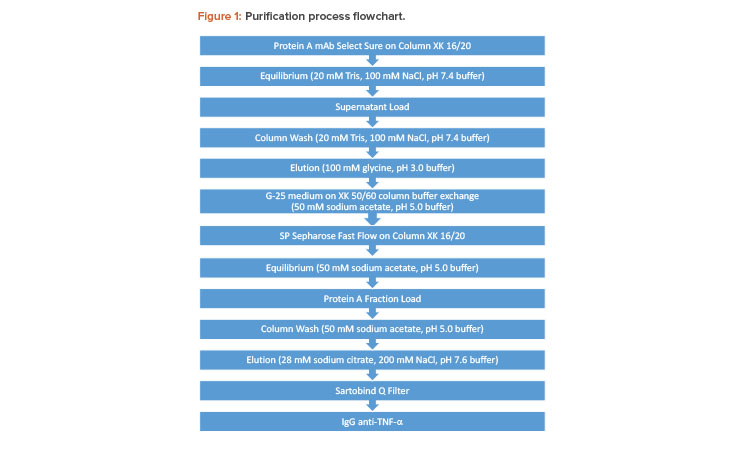 Figure 1: Purification process flowchart.