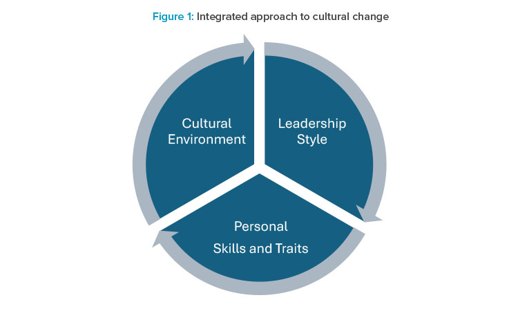 Figure 1: Integrated approach to cultural change