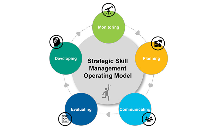 Figure 4: Strategic skills management operating model