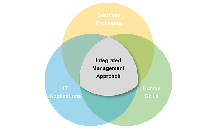 Figure 5: Integrated approach for management of processes, applications, and skills