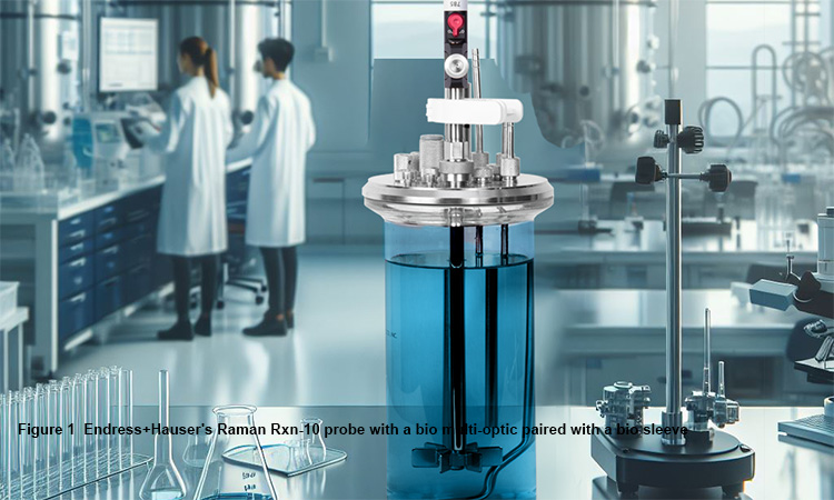 Figure-1--Endress-Hauser-s-Raman-Rxn-10-probe-with-a-bio-multi-optic-paired-with-a-bio-sleeve-750px.jpg