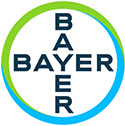 bayer-cross_basic_150dpi_on-screen_sm