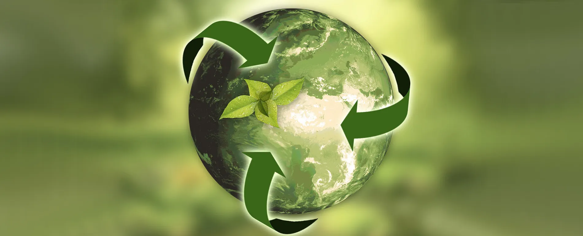 anncapictures-nature-sustainability-1900px