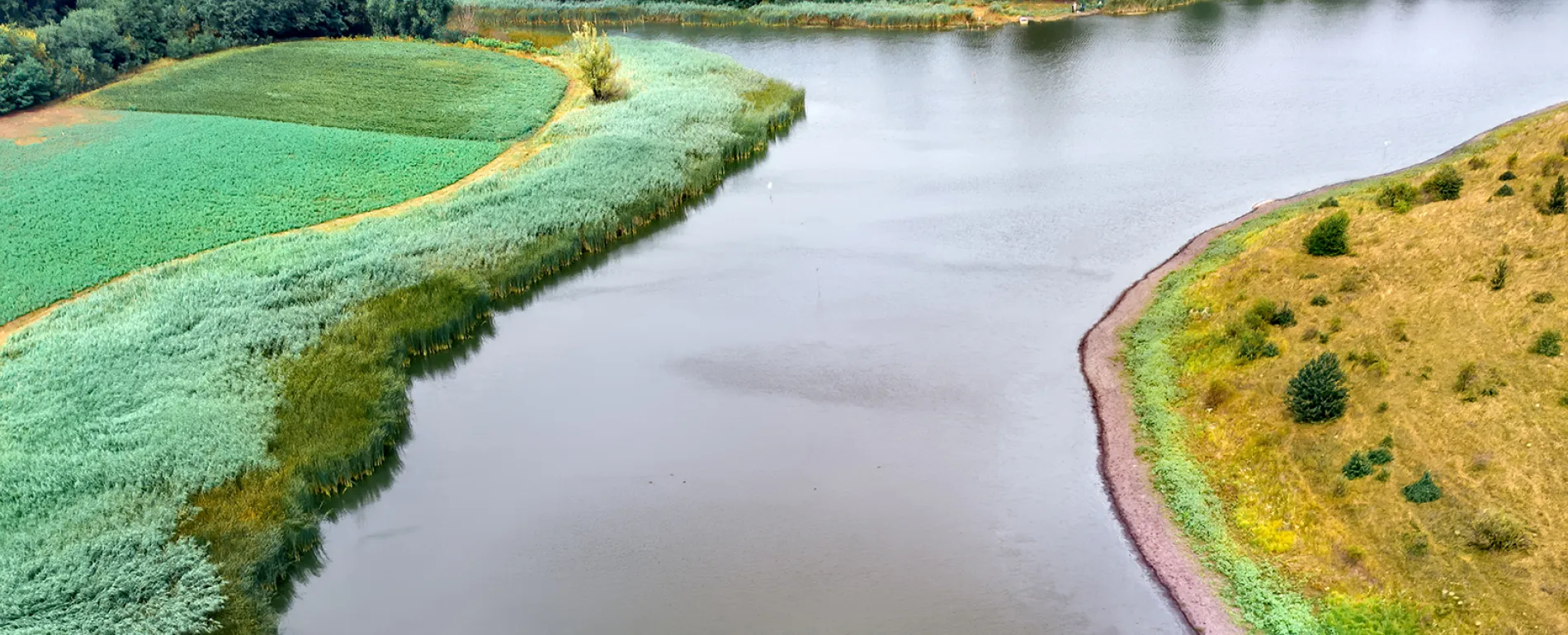 landscape-river-green-forest-1900px.png