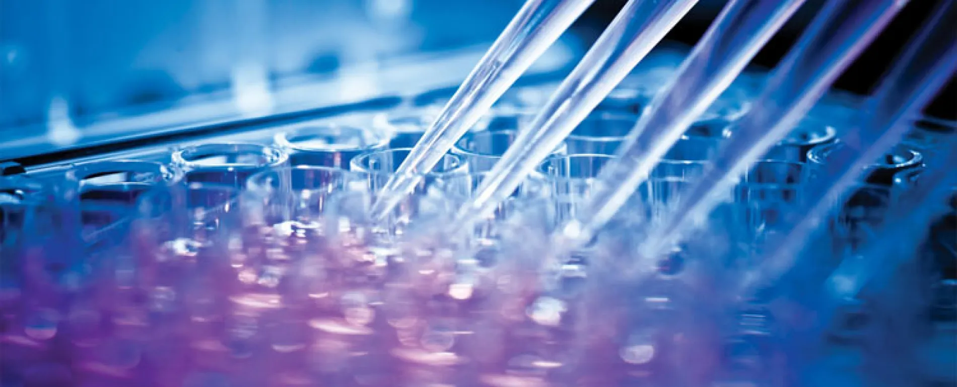 ISPE Nordic Cleaning & Sterilization Conference