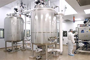 foya category image