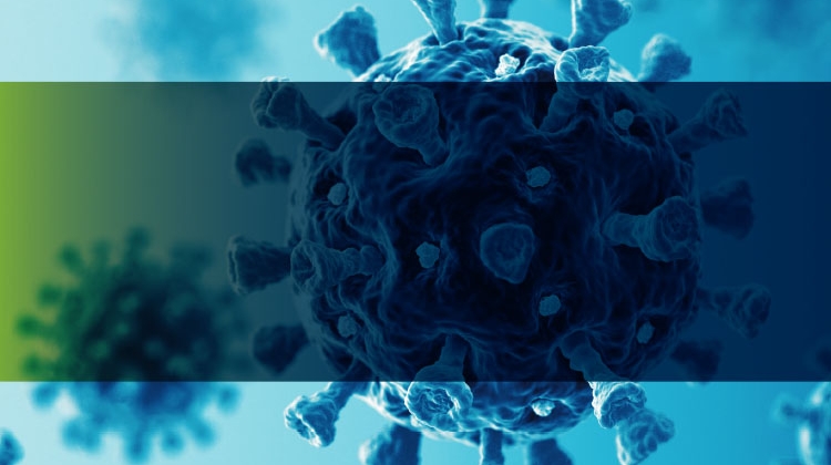 How Vaccines Are Developed