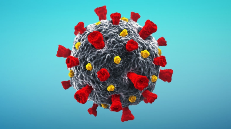 Coronavirus Collaboration