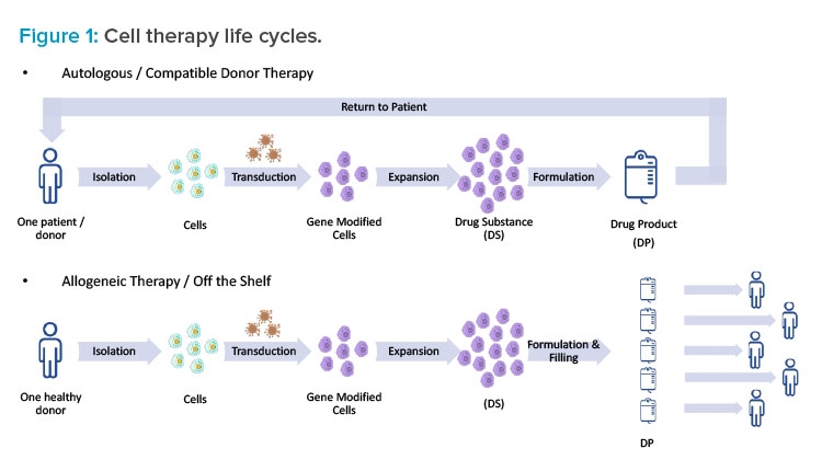 Figure 1: Cell therapy life cycles.