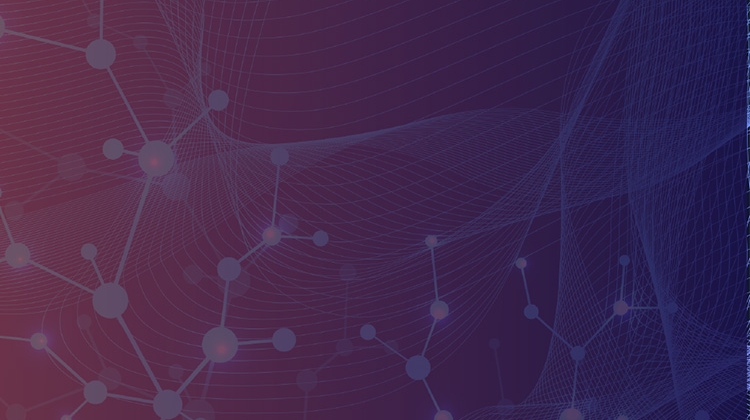 24 Pharma Web Assets Website