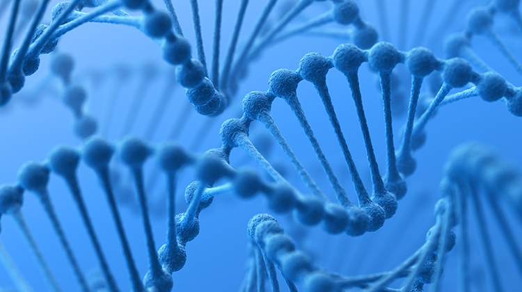 Blue DNA