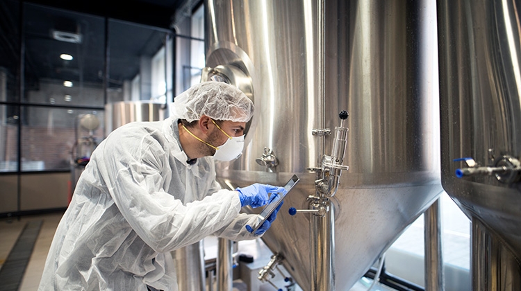 Professional technologist checking production
