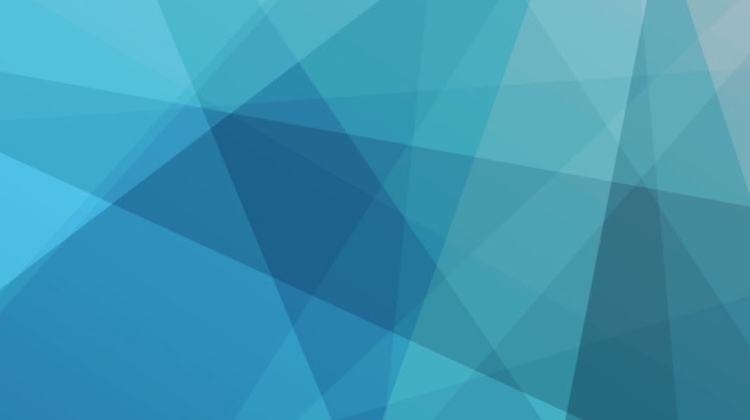 Nurturing a Culture of Collaboration and Growth