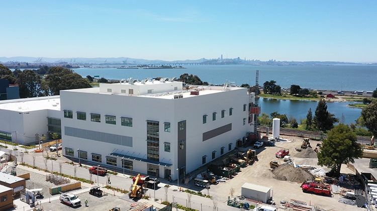 Bayer Healthcare