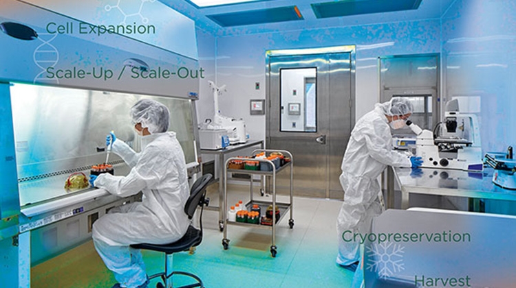 ISPEGPG40-EqDesignCP_smcvr.jpg