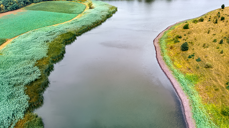 landscape-river-green-forest-750px.png