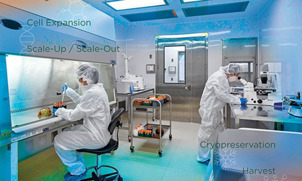 ISPEGPG40-EqDesignCP_smcvr.jpg