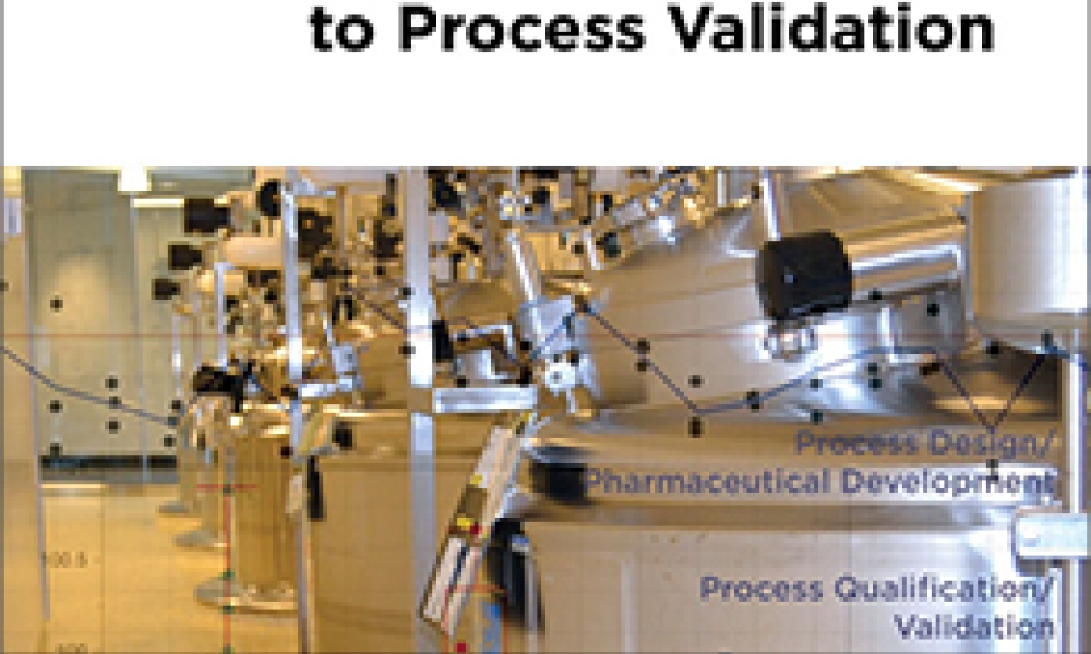 Good Practice Guide: Process Validation